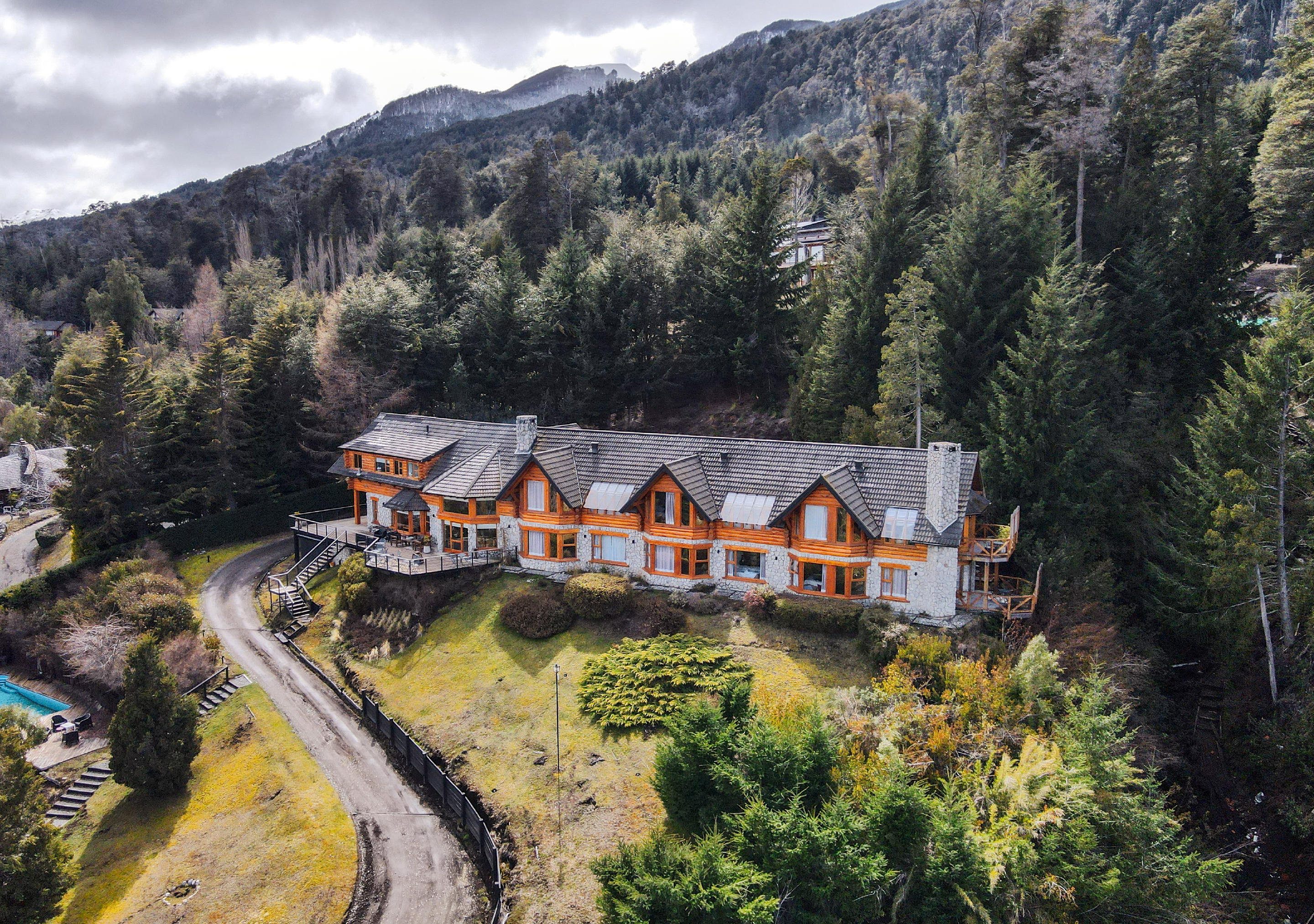 El Bosque by Dot Tradition