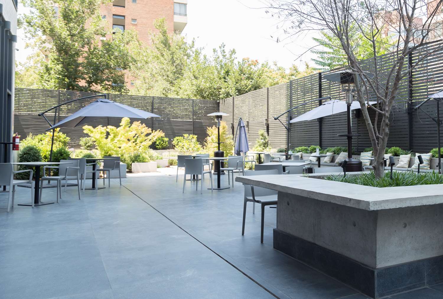 Ola Santiago Providencia, Tapestry Collection by Hilton